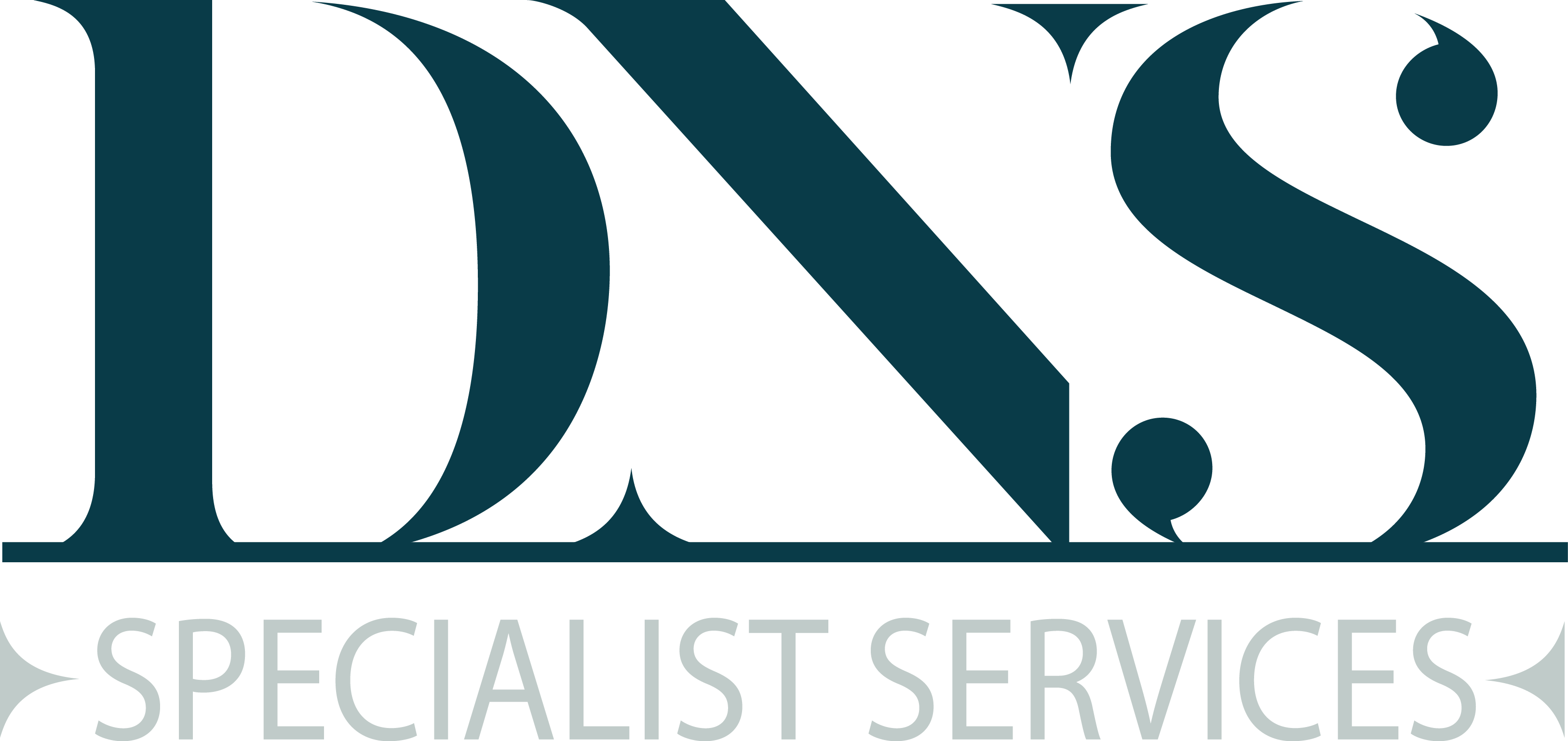 DNS Specialist Services